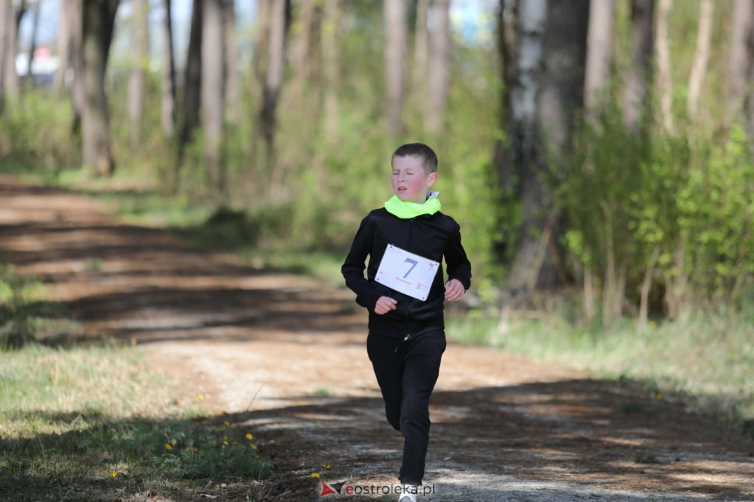 XI Bieg Szalonego Kurpsia [26.04.2026] - zdjęcie #31 - eOstroleka.pl