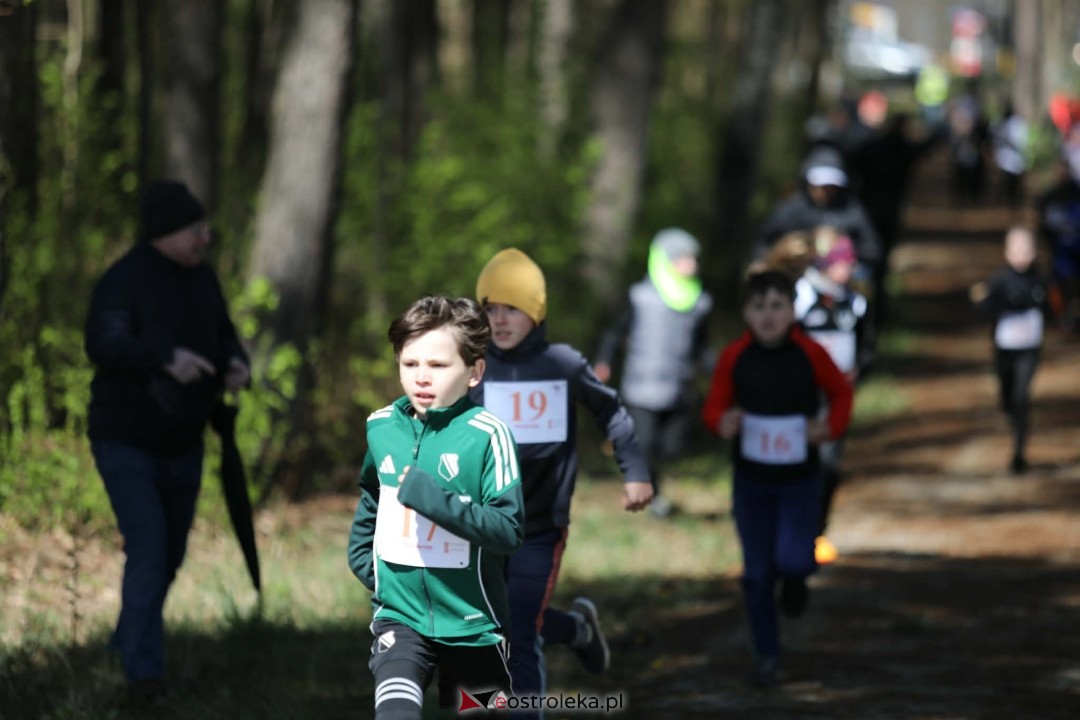 XI Bieg Szalonego Kurpsia [26.04.2026] - zdjęcie #28 - eOstroleka.pl
