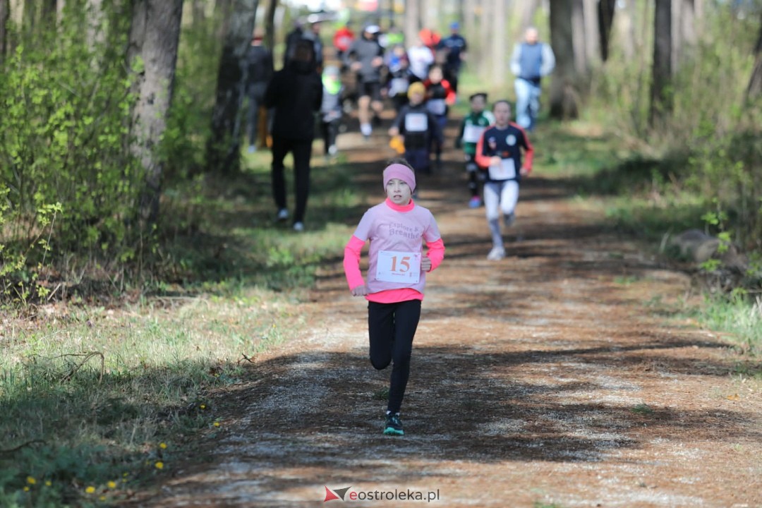 XI Bieg Szalonego Kurpsia [26.04.2026] - zdjęcie #23 - eOstroleka.pl