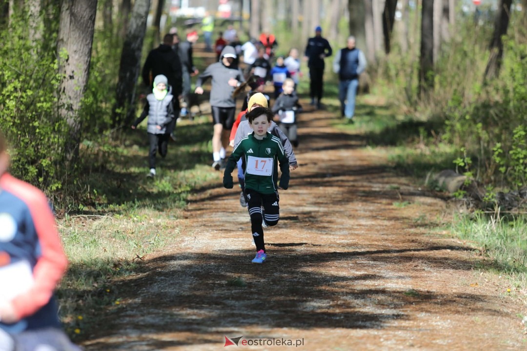 XI Bieg Szalonego Kurpsia [26.04.2026] - zdjęcie #13 - eOstroleka.pl