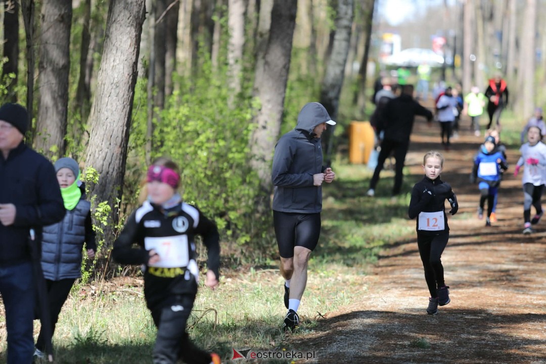 XI Bieg Szalonego Kurpsia [26.04.2026] - zdjęcie #10 - eOstroleka.pl