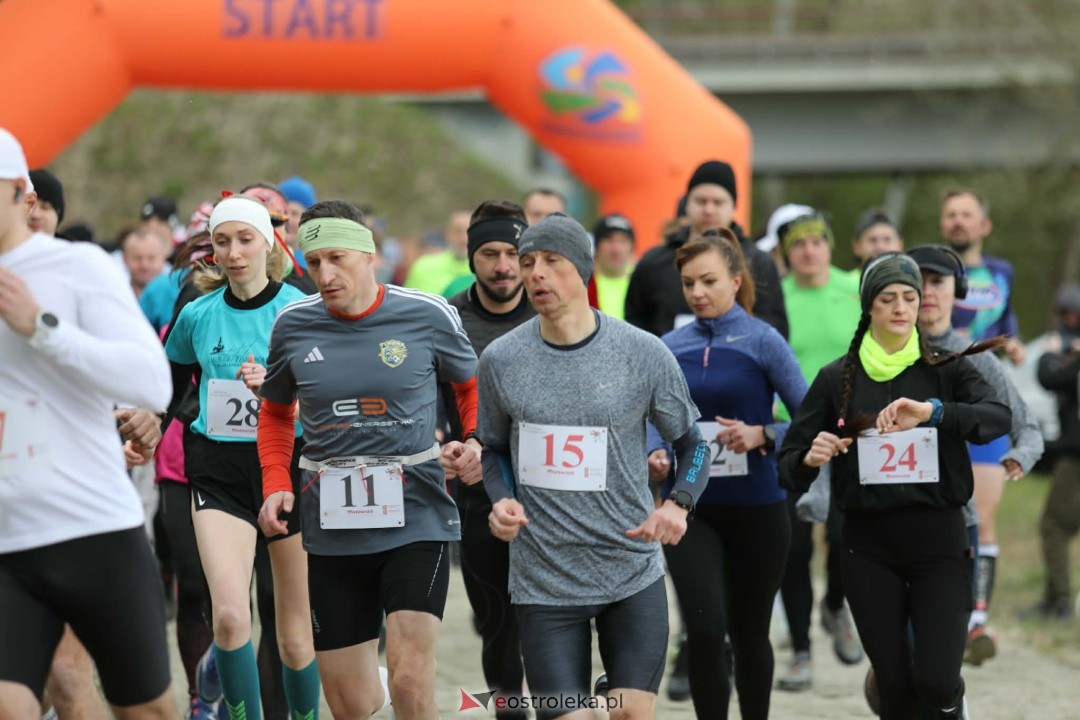 XI Bieg Szalonego Kurpsia [26.04.2026] - zdjęcie #1 - eOstroleka.pl