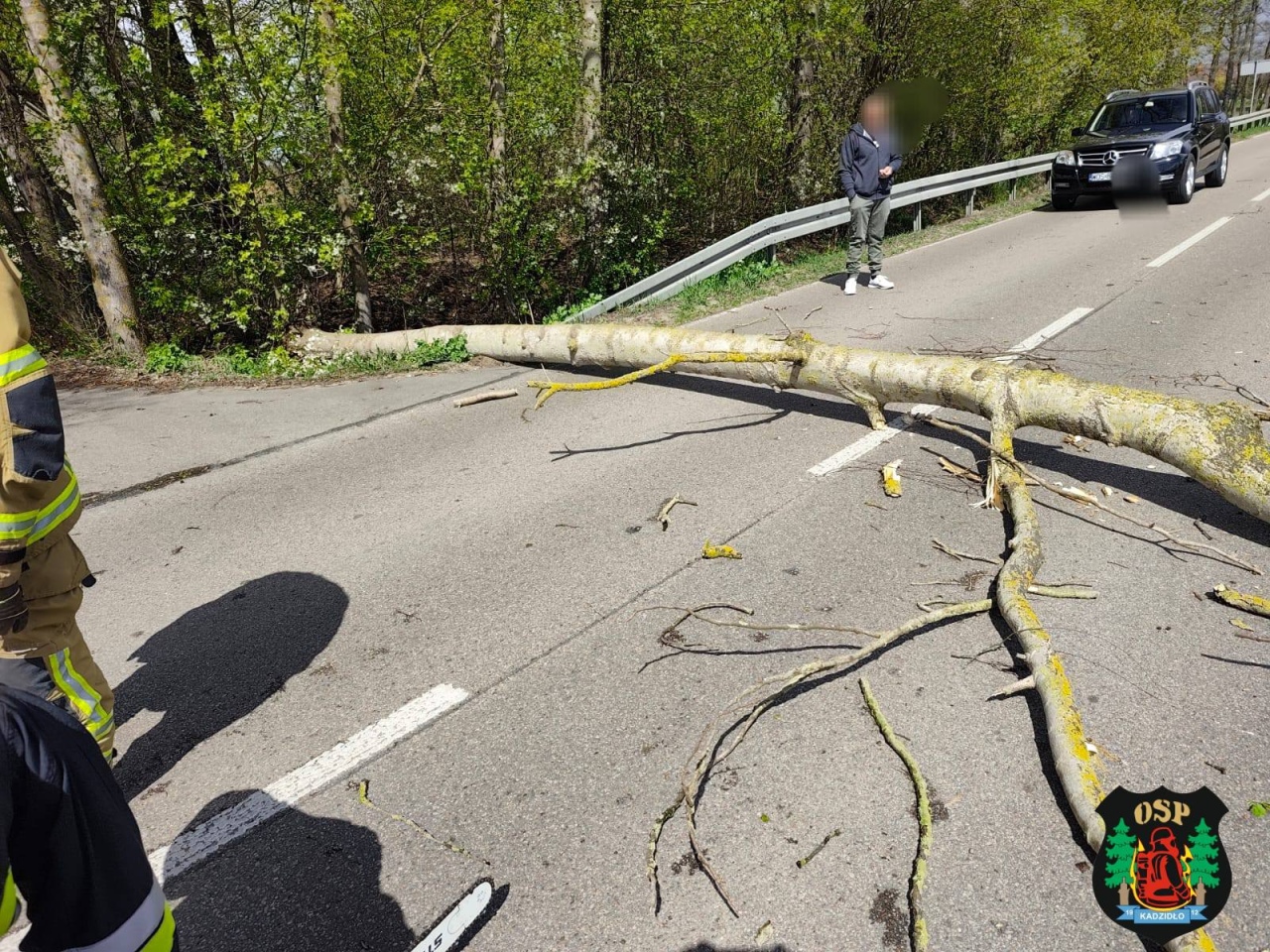 Skutki niedzielnej wichury w Ostrołęce i powiecie ostrołęckim [26.04.2026] - zdjęcie #6 - eOstroleka.pl