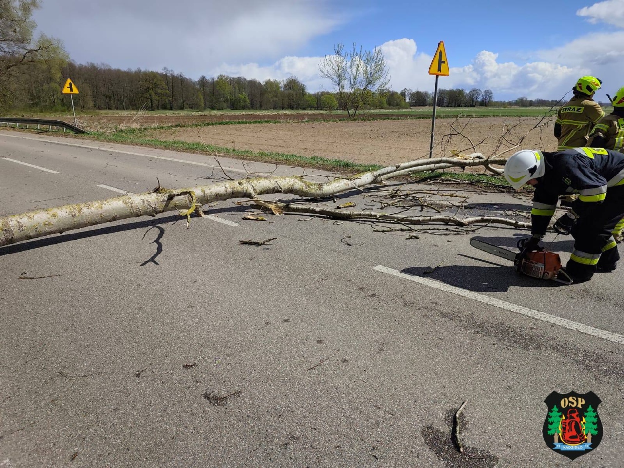 Skutki niedzielnej wichury w Ostrołęce i powiecie ostrołęckim [26.04.2026] - zdjęcie #5 - eOstroleka.pl