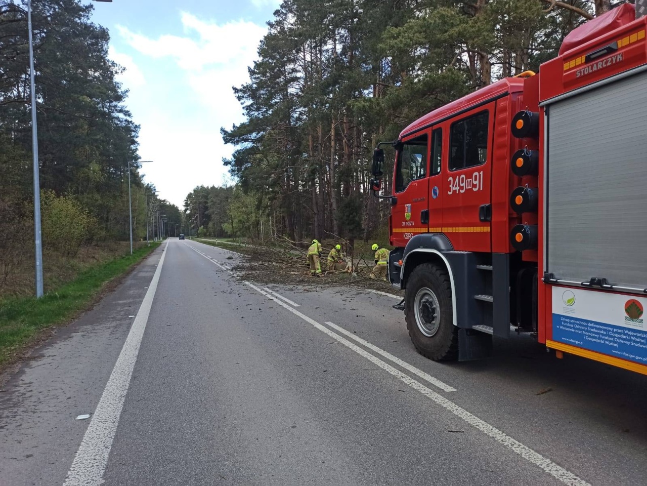 Skutki niedzielnej wichury w Ostrołęce i powiecie ostrołęckim [26.04.2026] - zdjęcie #3 - eOstroleka.pl