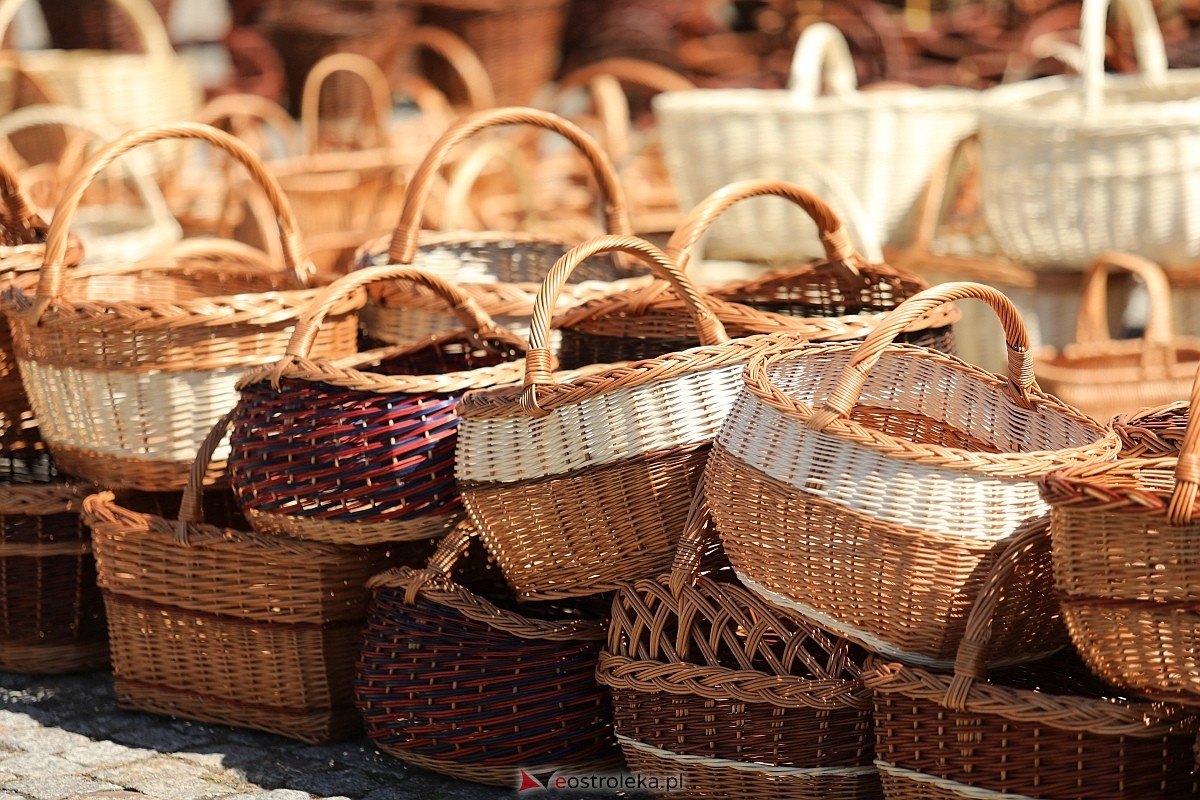 Piknik Rodzinny – Majówka z RCKK [3.05.2026] - zdjęcie #42 - eOstroleka.pl