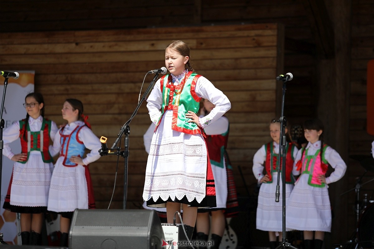 Piknik Rodzinny – Majówka z RCKK [3.05.2026] - zdjęcie #9 - eOstroleka.pl