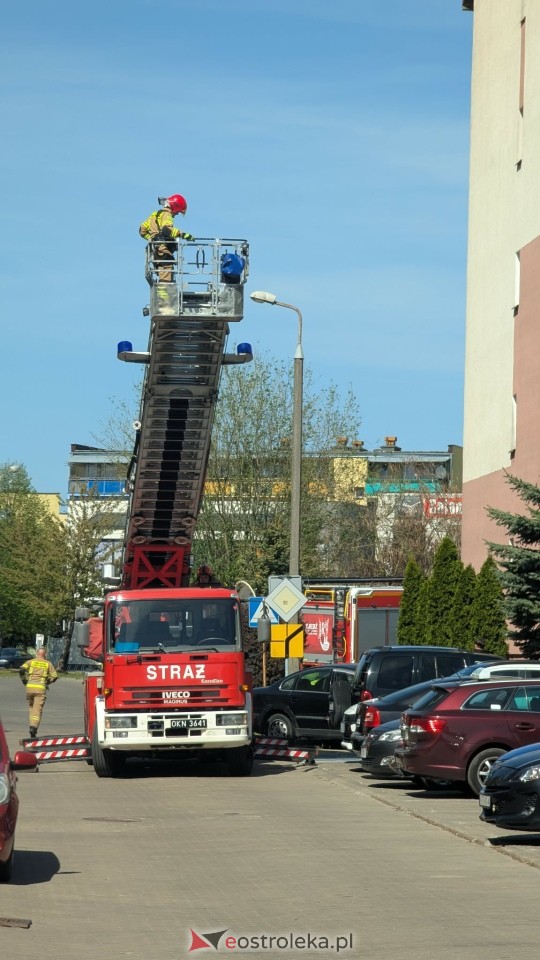 Dramatyczne odkrycie w ostrołęckim bloku [3.05.2026] - zdjęcie #16 - eOstroleka.pl