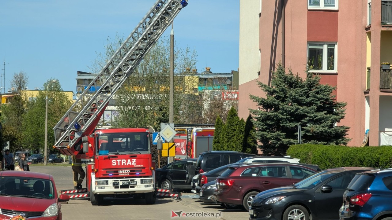 Dramatyczne odkrycie w ostrołęckim bloku [3.05.2026] - zdjęcie #14 - eOstroleka.pl