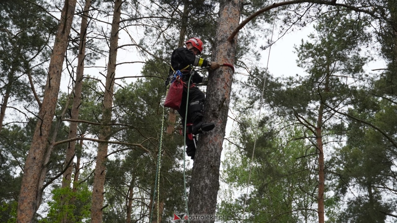 Ostrołęka wstrzymała oddech! Co wydarzyło się na moście Madalińskiego i w pobliskim parku? [07.05.2026] - zdjęcie #15 - eOstroleka.pl