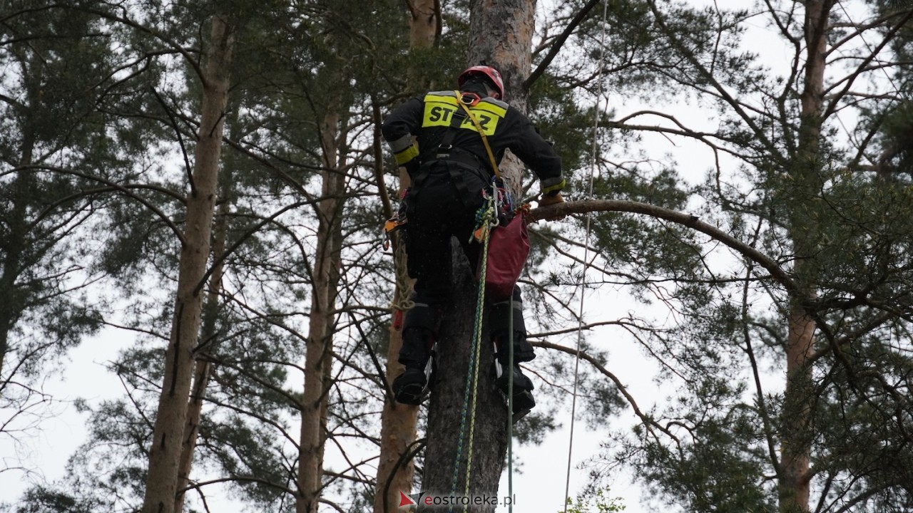 Ostrołęka wstrzymała oddech! Co wydarzyło się na moście Madalińskiego i w pobliskim parku? [07.05.2026] - zdjęcie #14 - eOstroleka.pl