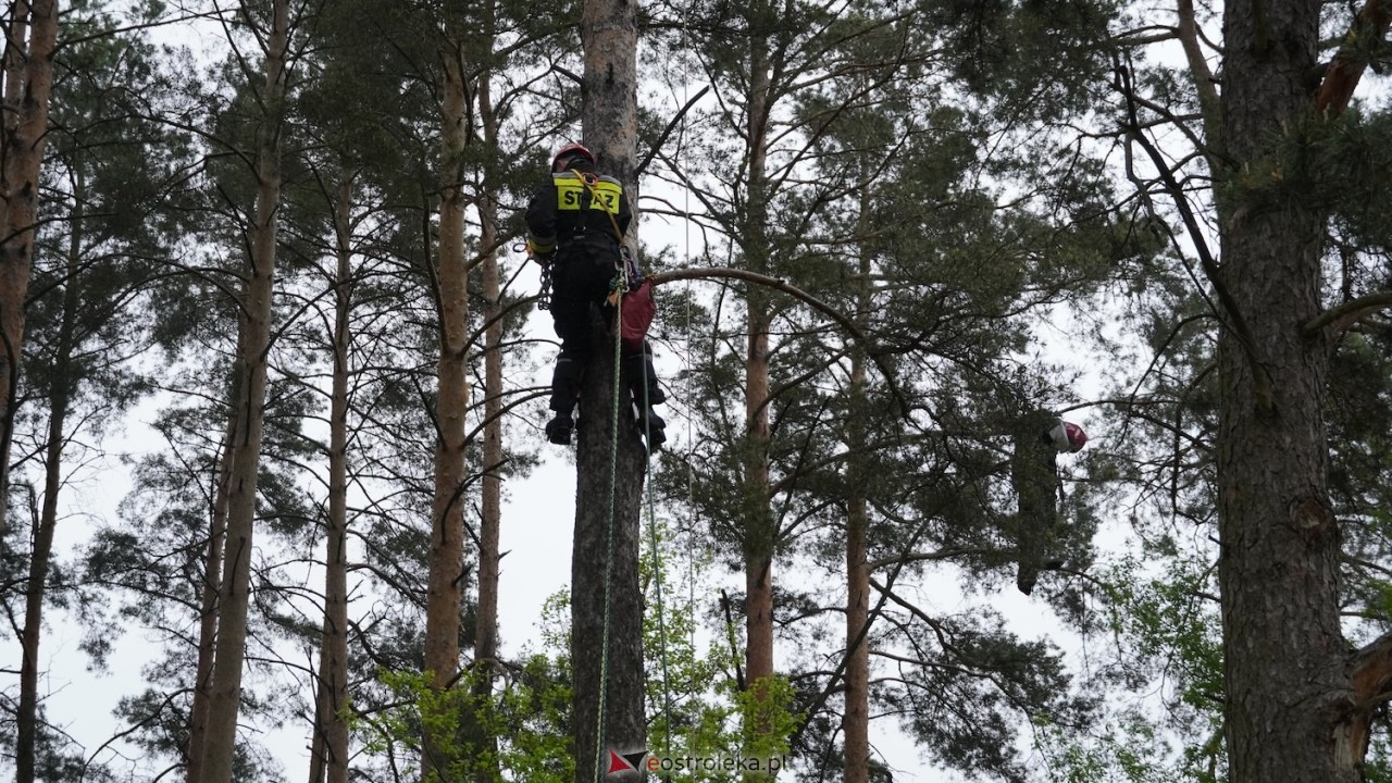 Ostrołęka wstrzymała oddech! Co wydarzyło się na moście Madalińskiego i w pobliskim parku? [07.05.2026] - zdjęcie #13 - eOstroleka.pl