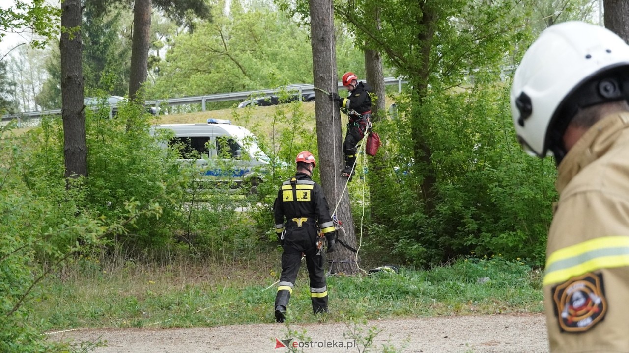 Ostrołęka wstrzymała oddech! Co wydarzyło się na moście Madalińskiego i w pobliskim parku? [07.05.2026] - zdjęcie #11 - eOstroleka.pl