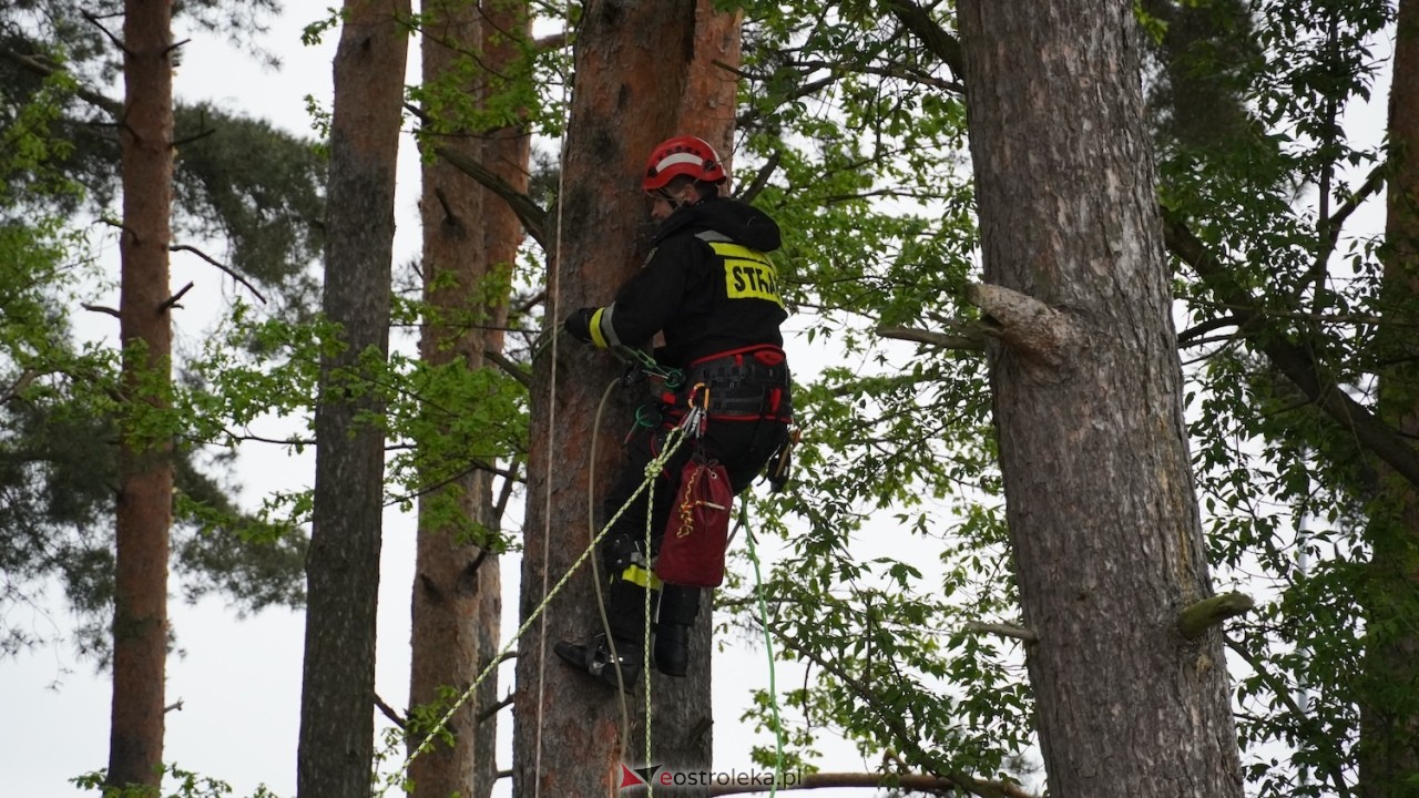 Ostrołęka wstrzymała oddech! Co wydarzyło się na moście Madalińskiego i w pobliskim parku? [07.05.2026] - zdjęcie #8 - eOstroleka.pl