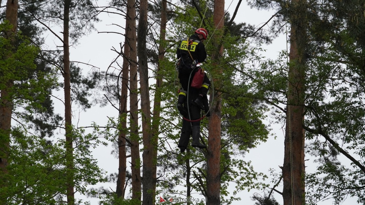 Ostrołęka wstrzymała oddech! Co wydarzyło się na moście Madalińskiego i w pobliskim parku? [07.05.2026] - zdjęcie #4 - eOstroleka.pl