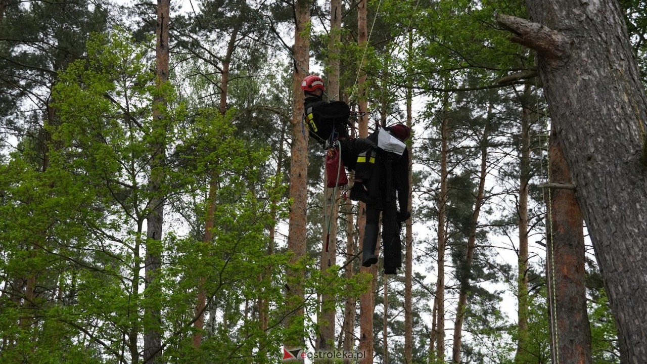 Ostrołęka wstrzymała oddech! Co wydarzyło się na moście Madalińskiego i w pobliskim parku? [07.05.2026] - zdjęcie #3 - eOstroleka.pl