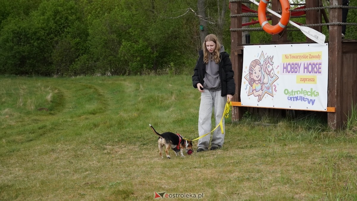 Towarzyskie Zawody Hobby Horse w Ostrołęce [09.05.2026] - zdjęcie #14 - eOstroleka.pl