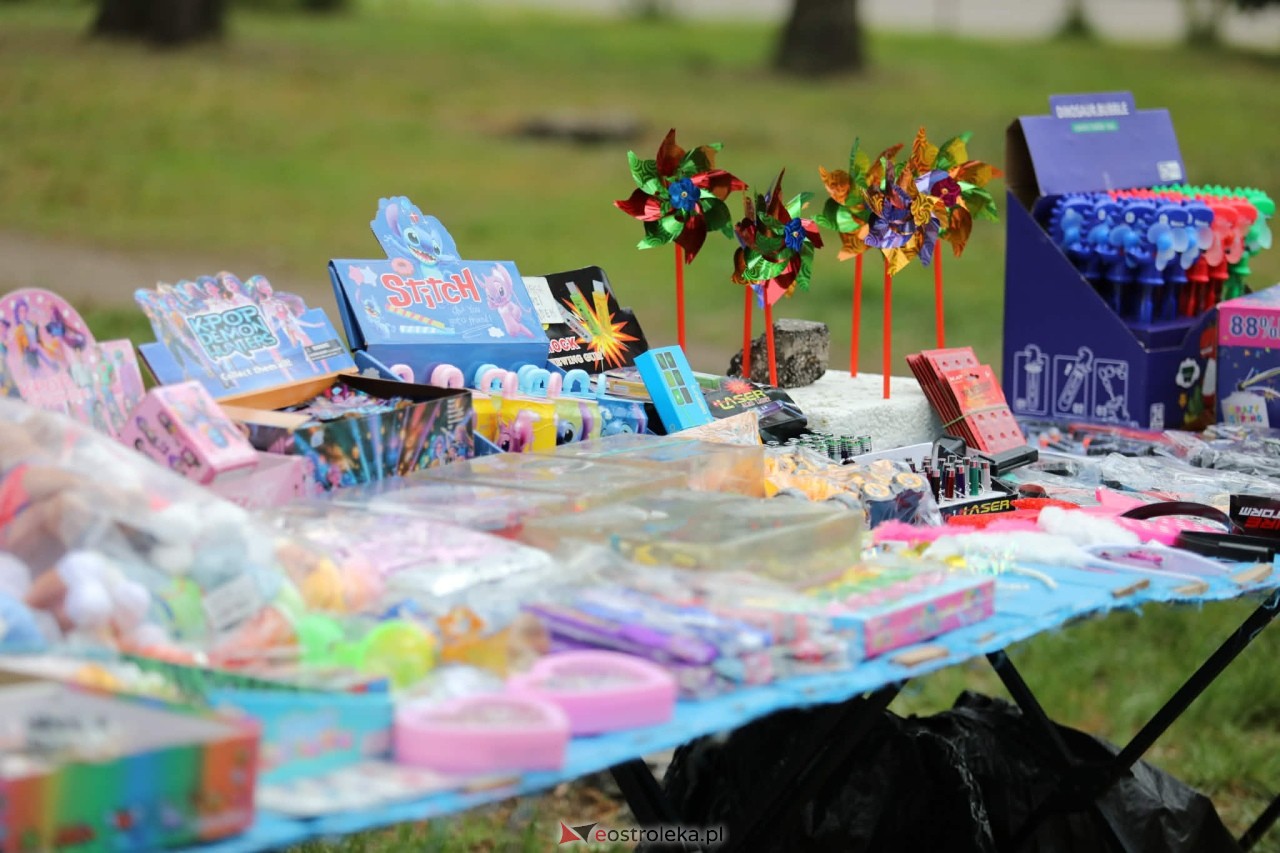 Mazowiecki Piknik Pokoleń – Razem w Europie! [09.05.2026] - zdjęcie #132 - eOstroleka.pl