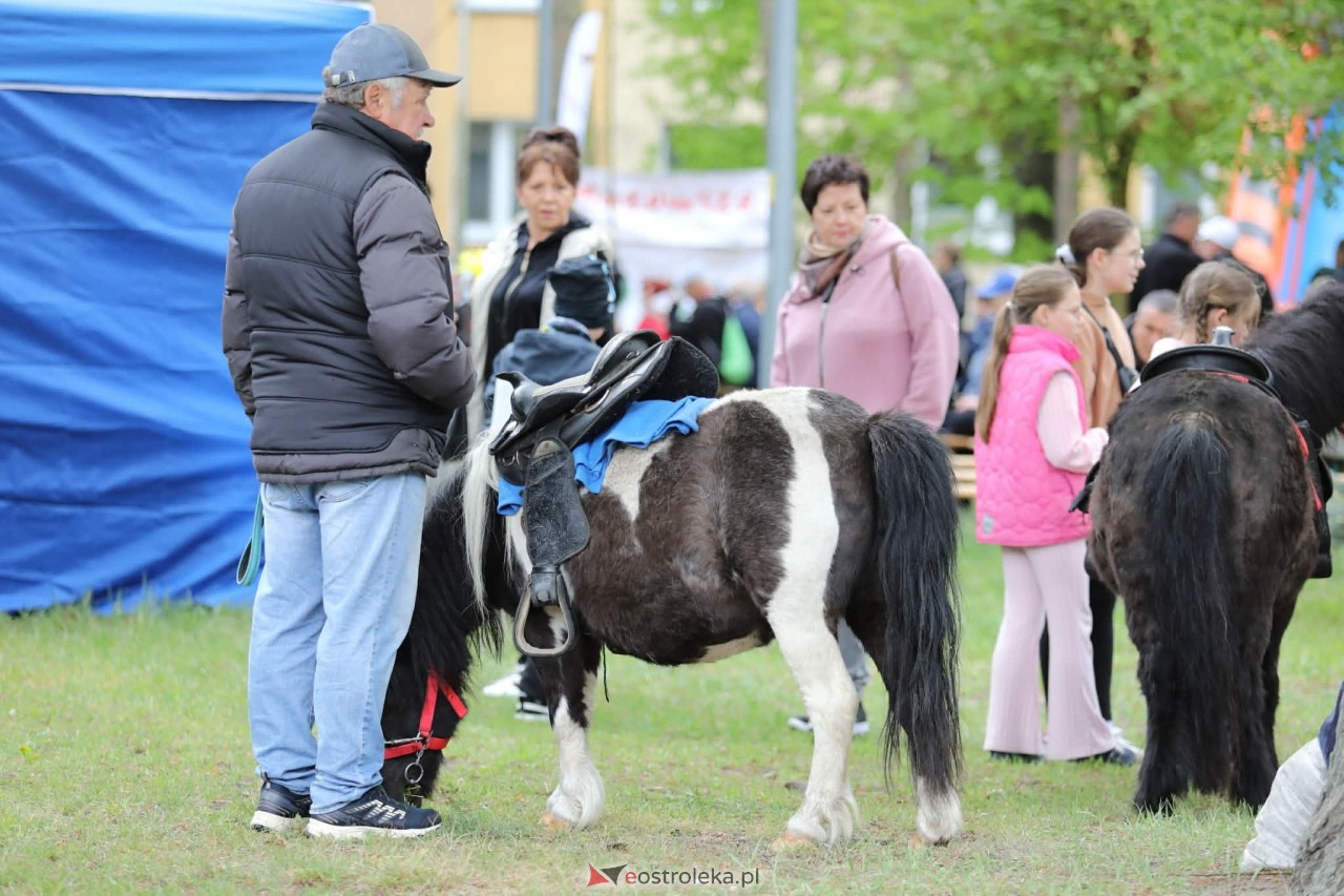 Mazowiecki Piknik Pokoleń – Razem w Europie! [09.05.2026] - zdjęcie #105 - eOstroleka.pl