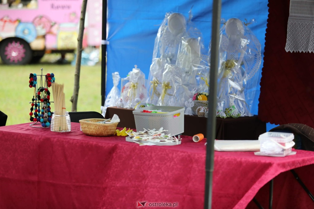 Mazowiecki Piknik Pokoleń – Razem w Europie! [09.05.2026] - zdjęcie #94 - eOstroleka.pl