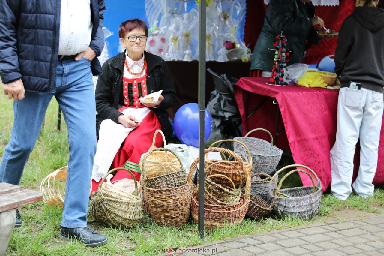 Mazowiecki Piknik Pokoleń – Razem w Europie! [09.05.2026] - zdjęcie #89 - eOstroleka.pl