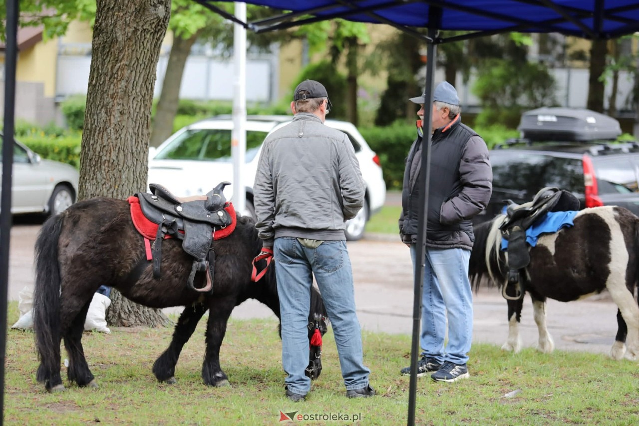 Mazowiecki Piknik Pokoleń – Razem w Europie! [09.05.2026] - zdjęcie #50 - eOstroleka.pl