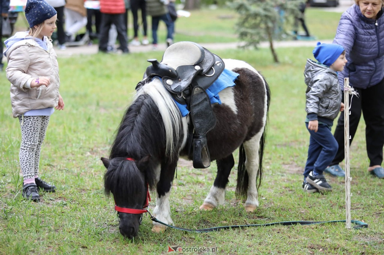 Mazowiecki Piknik Pokoleń – Razem w Europie! [09.05.2026] - zdjęcie #35 - eOstroleka.pl