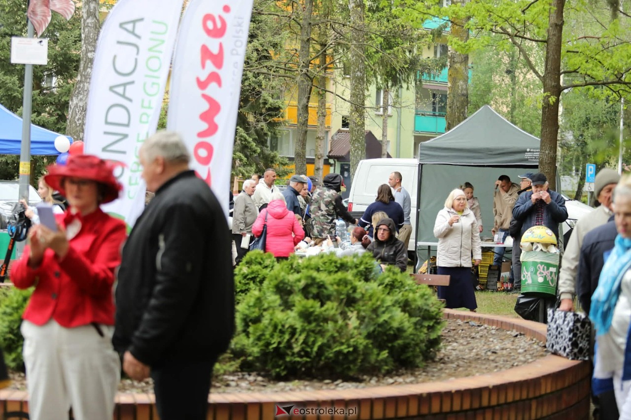 Mazowiecki Piknik Pokoleń – Razem w Europie! [09.05.2026] - zdjęcie #17 - eOstroleka.pl
