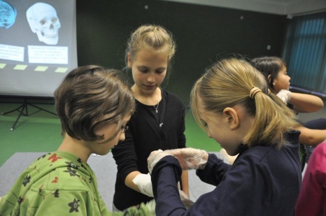 Mali Ratownicy: Uczniowie uczyli się ratować życie [2.XII.2011] - zdjęcie #9 - eOstroleka.pl