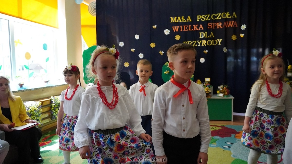 Rozstrzygnięcie Międzyprzedszkolnego Konkursu Ekologicznego w PM nr 15 w Ostrołęce [15.05.2026] - zdjęcie #61 - eOstroleka.pl