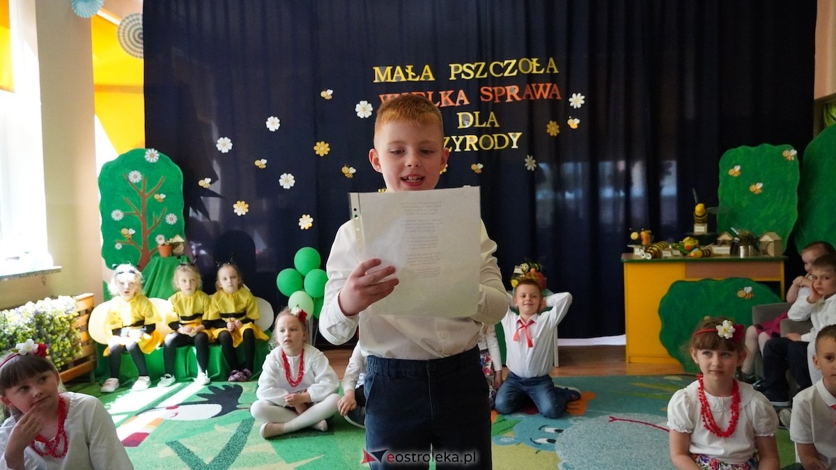 Rozstrzygnięcie Międzyprzedszkolnego Konkursu Ekologicznego w PM nr 15 w Ostrołęce [15.05.2026] - zdjęcie #50 - eOstroleka.pl