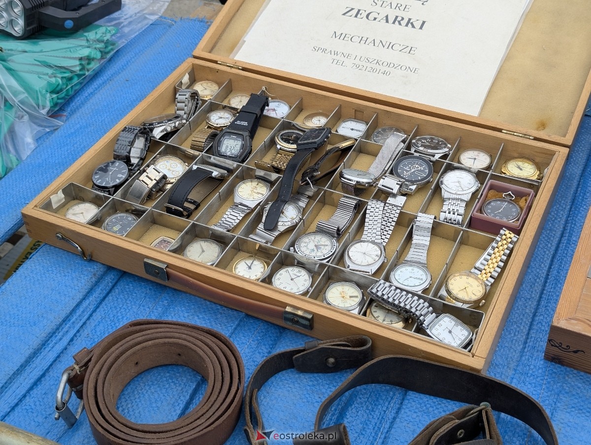 Pchli Targ w Ostrołęce [16.05.2026] - zdjęcie #61 - eOstroleka.pl