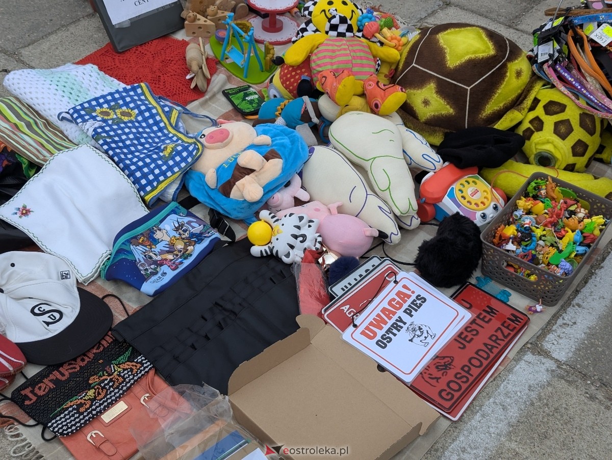 Pchli Targ w Ostrołęce [16.05.2026] - zdjęcie #14 - eOstroleka.pl