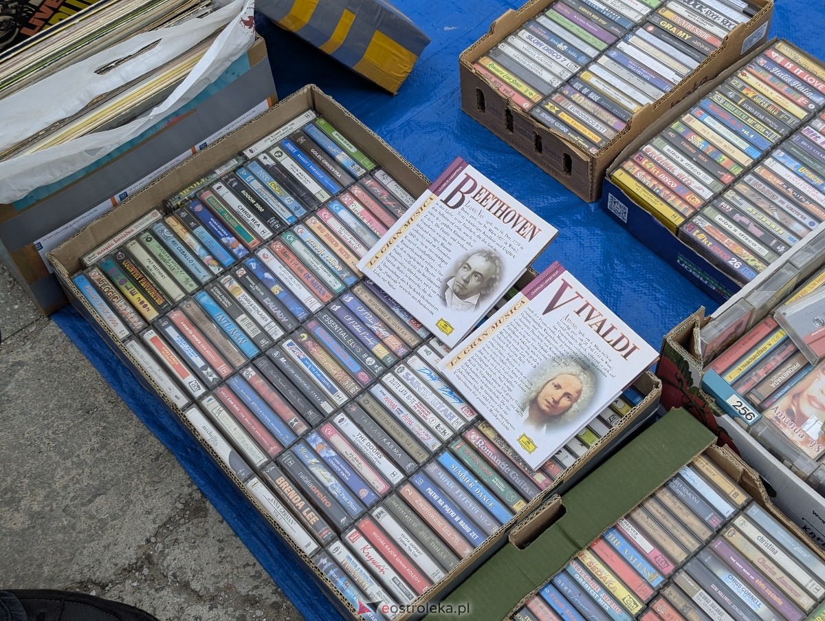 Pchli Targ w Ostrołęce [16.05.2026] - zdjęcie #8 - eOstroleka.pl