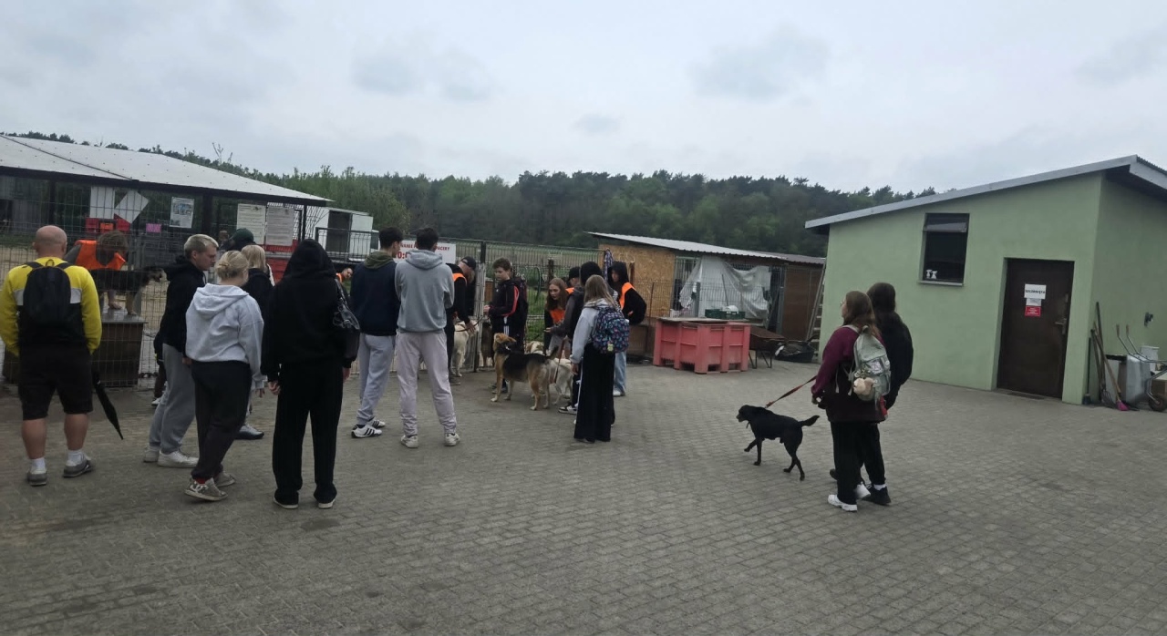 Finał akcji Mazowsze podaje łapę w Schronisku Canis w Kruszewie [16.05.2026] - zdjęcie #19 - eOstroleka.pl