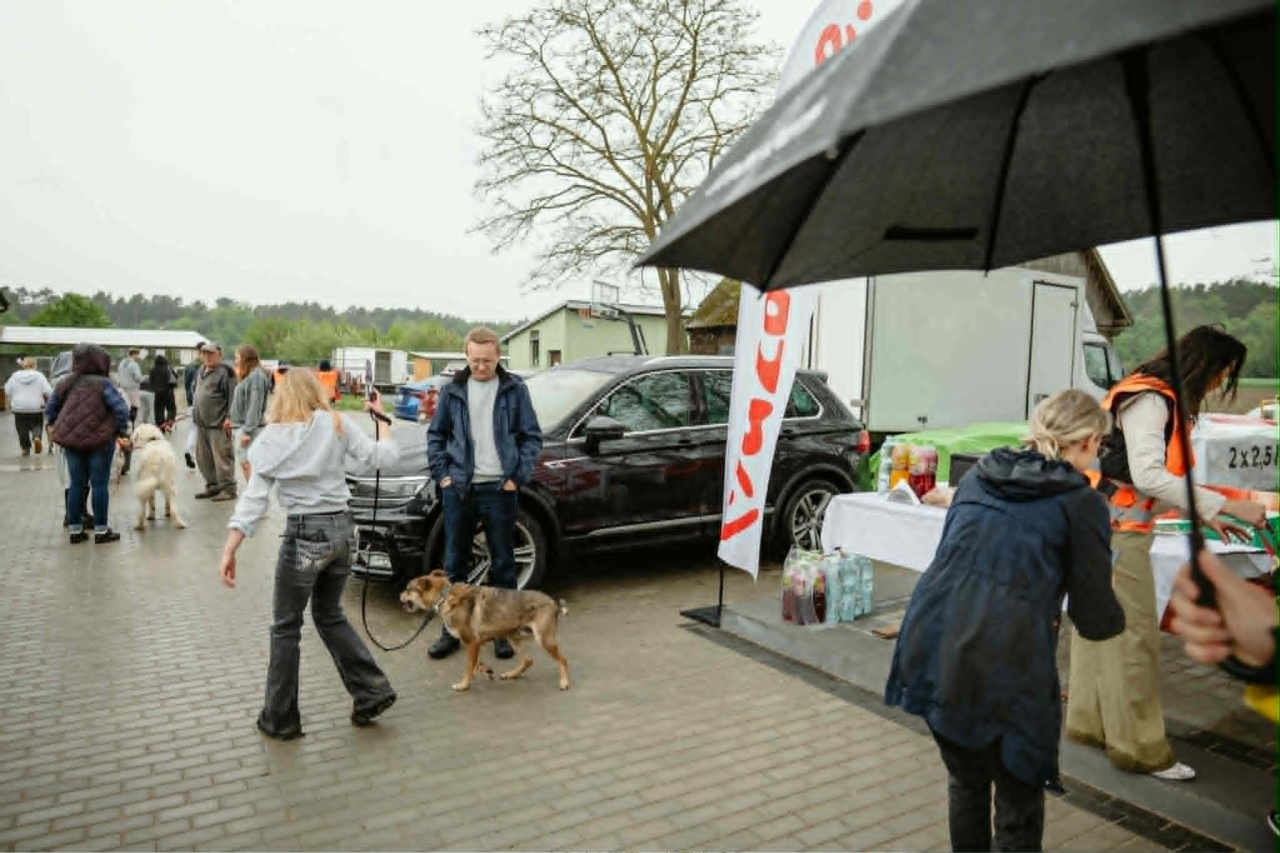 Finał akcji Mazowsze podaje łapę w Schronisku Canis w Kruszewie [16.05.2026] - zdjęcie #10 - eOstroleka.pl