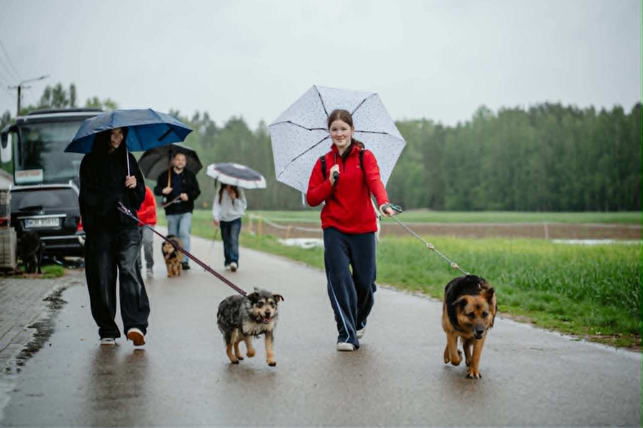 Finał akcji Mazowsze podaje łapę w Schronisku Canis w Kruszewie [16.05.2026] - zdjęcie #9 - eOstroleka.pl