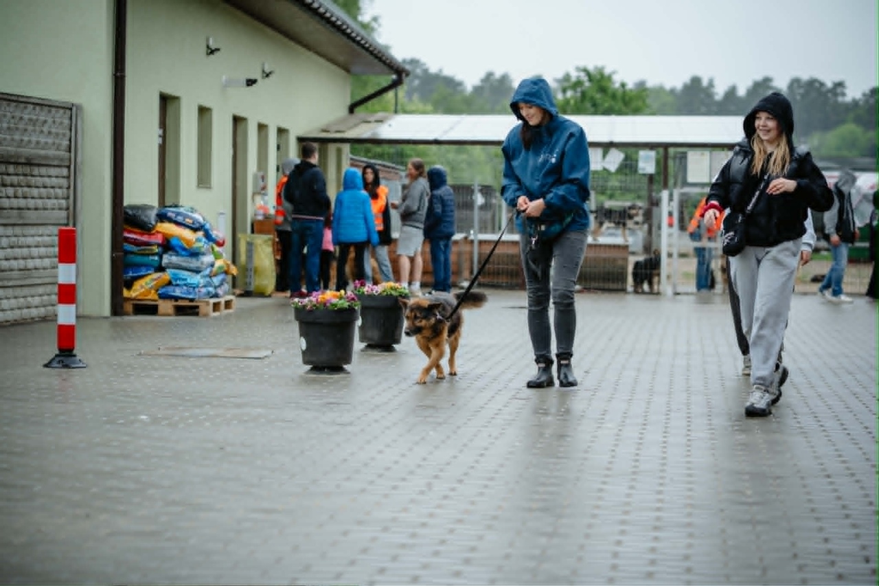 Finał akcji Mazowsze podaje łapę w Schronisku Canis w Kruszewie [16.05.2026] - zdjęcie #8 - eOstroleka.pl