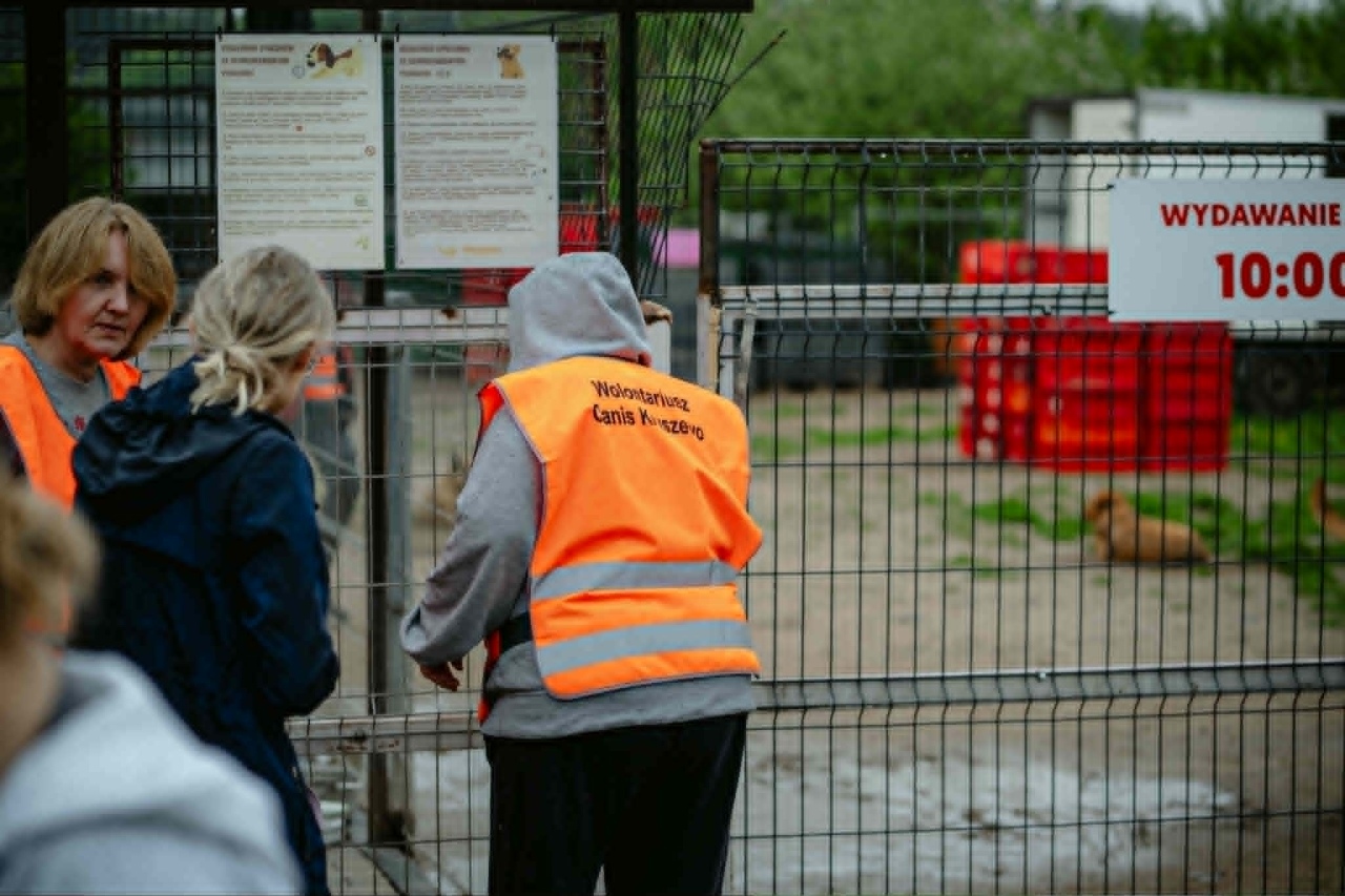 Finał akcji Mazowsze podaje łapę w Schronisku Canis w Kruszewie [16.05.2026] - zdjęcie #5 - eOstroleka.pl