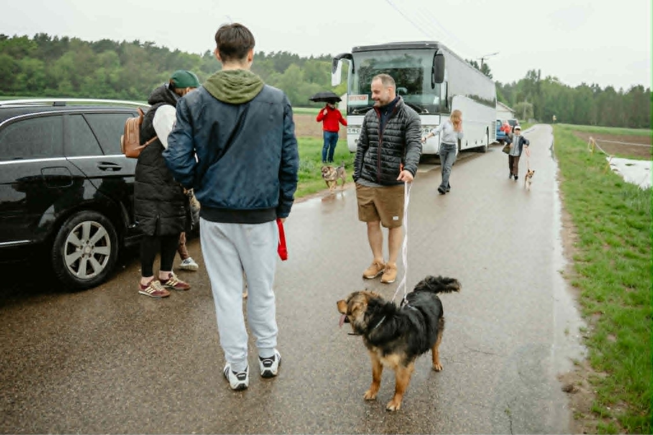 Finał akcji Mazowsze podaje łapę w Schronisku Canis w Kruszewie [16.05.2026] - zdjęcie #3 - eOstroleka.pl