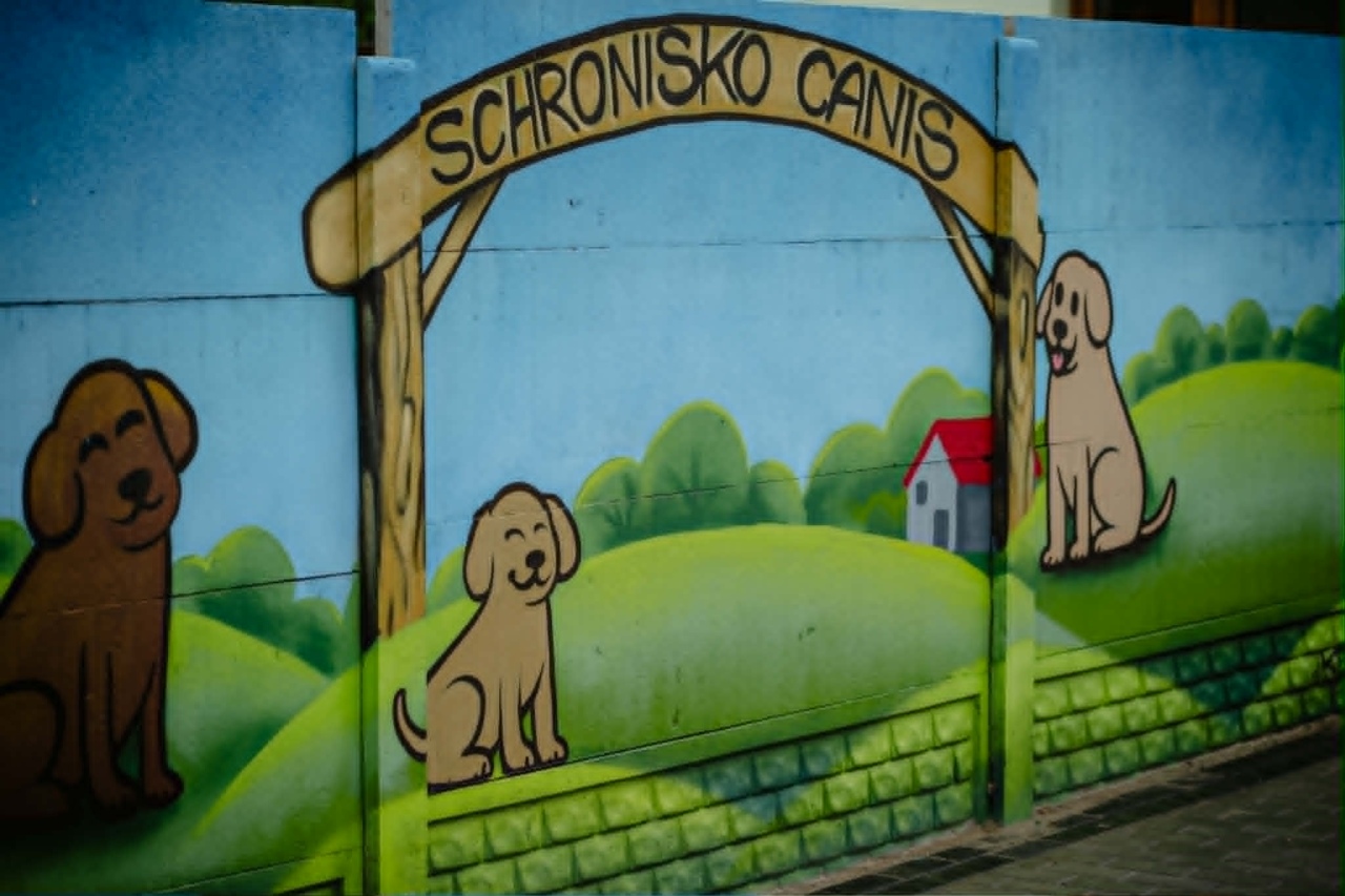 Finał akcji Mazowsze podaje łapę w Schronisku Canis w Kruszewie [16.05.2026] - zdjęcie #2 - eOstroleka.pl