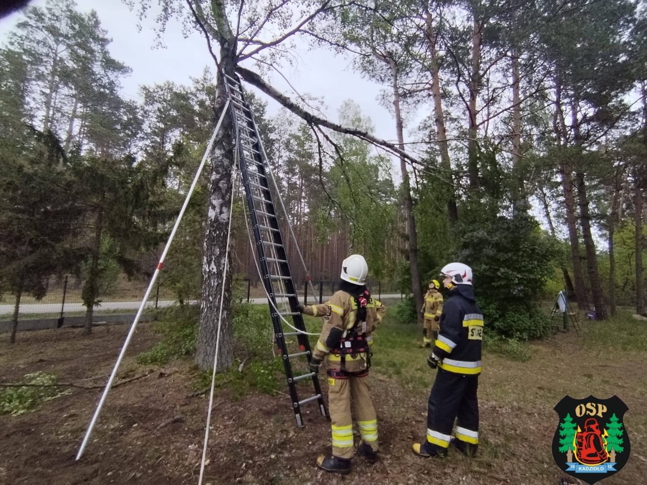 Strażackie interwencje po niedzielnej wichurze w powiecie ostrołęckim [17.05.2026] - zdjęcie #10 - eOstroleka.pl