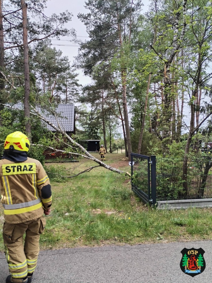 Strażackie interwencje po niedzielnej wichurze w powiecie ostrołęckim [17.05.2026] - zdjęcie #8 - eOstroleka.pl