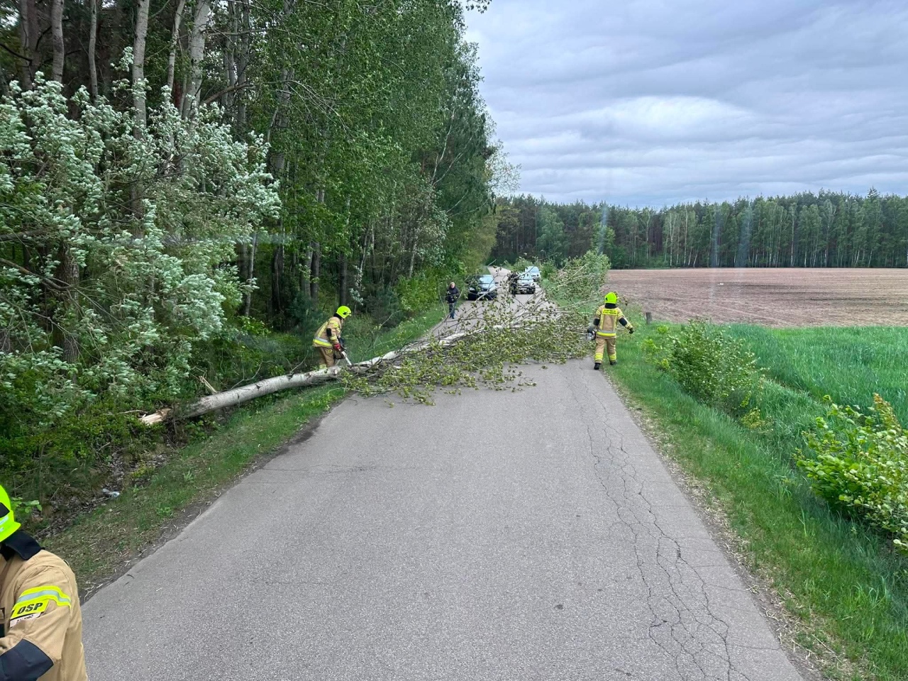 Strażackie interwencje po niedzielnej wichurze w powiecie ostrołęckim [17.05.2026] - zdjęcie #6 - eOstroleka.pl