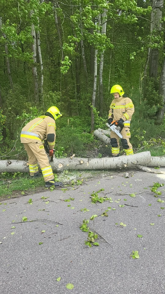 Strażackie interwencje po niedzielnej wichurze w powiecie ostrołęckim [17.05.2026] - zdjęcie #3 - eOstroleka.pl