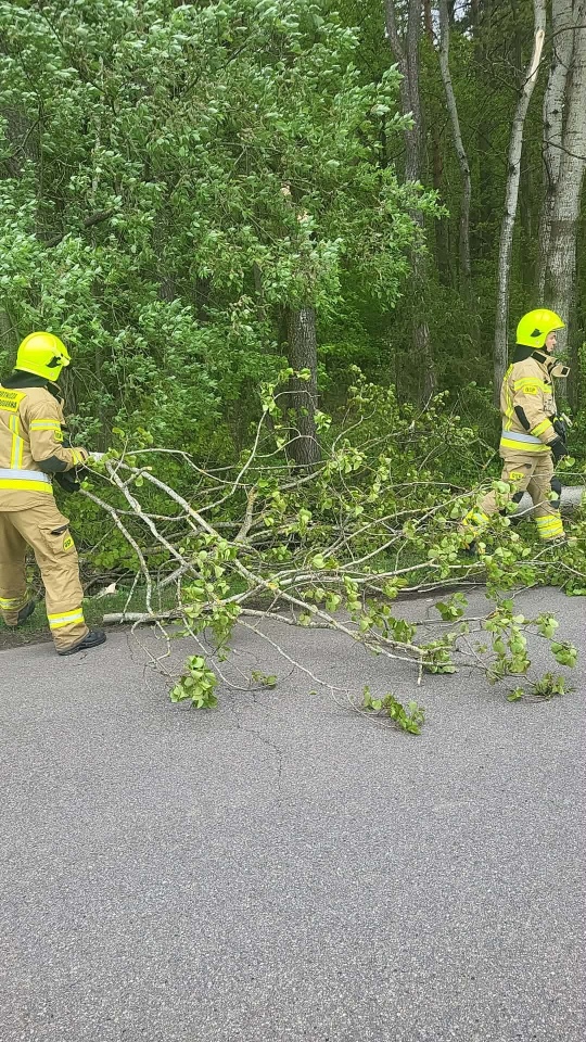 Strażackie interwencje po niedzielnej wichurze w powiecie ostrołęckim [17.05.2026] - zdjęcie #2 - eOstroleka.pl
