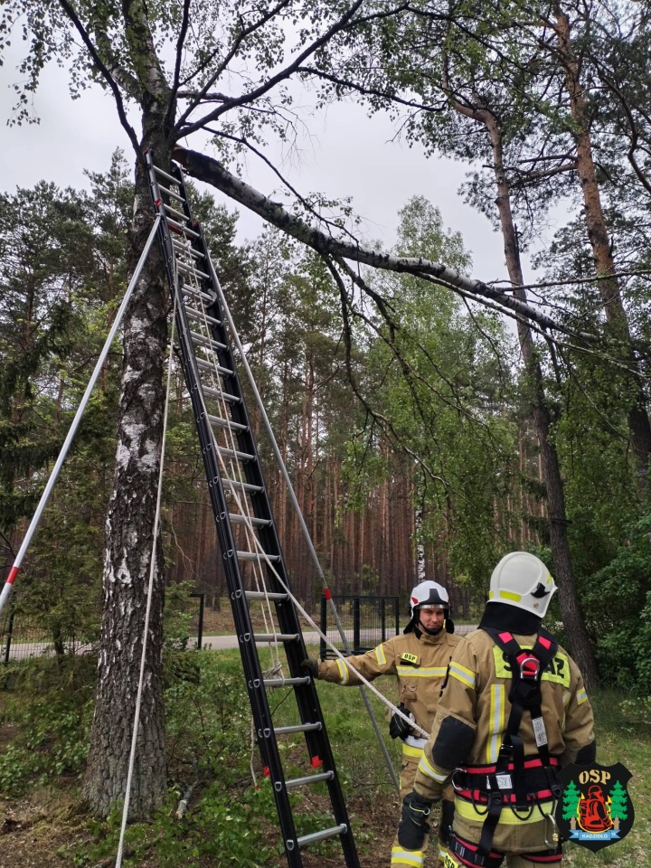 Strażackie interwencje po niedzielnej wichurze w powiecie ostrołęckim [17.05.2026] - zdjęcie #1 - eOstroleka.pl