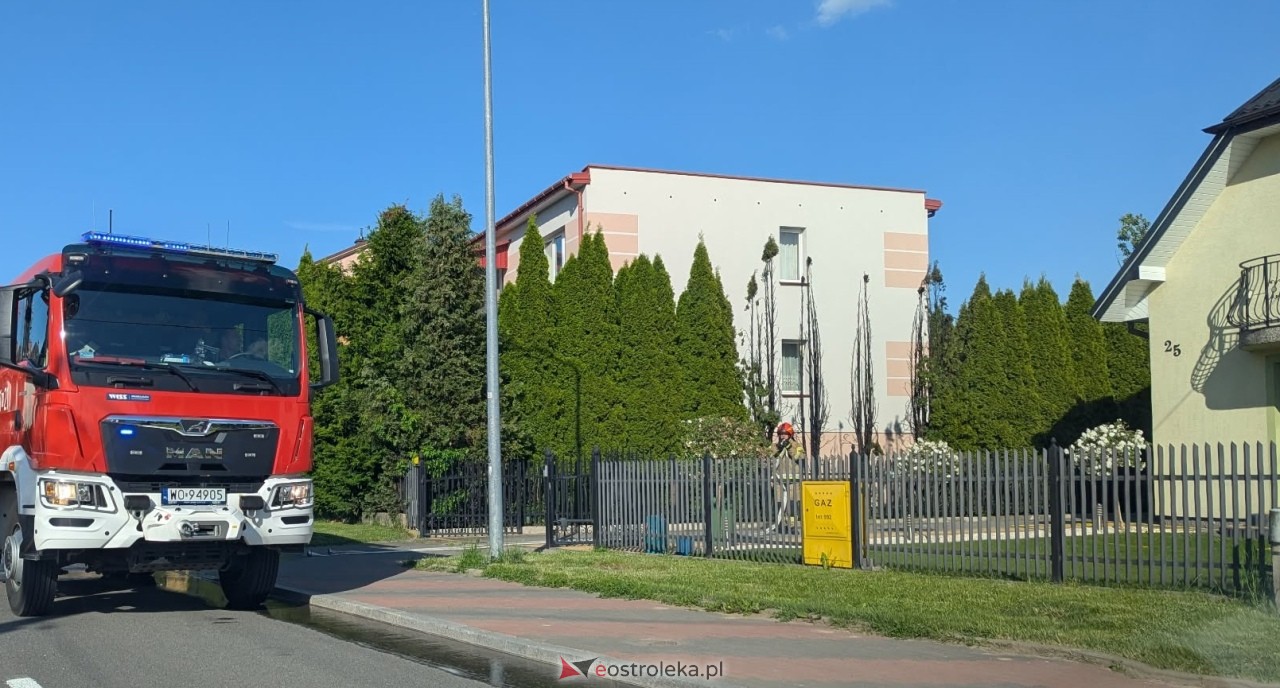Pożar tuj przy Wiejskiej w Ostrołęce [22.05.2026] - zdjęcie #1 - eOstroleka.pl