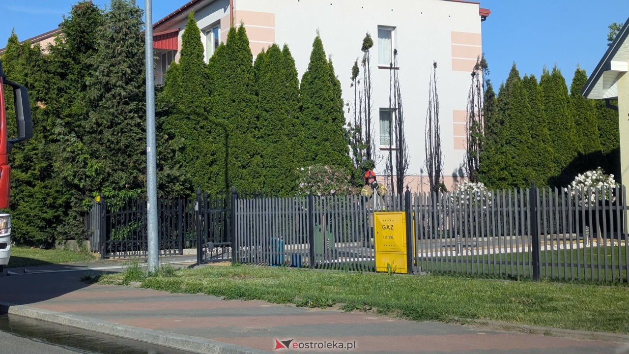 Pożar tuj przy Wiejskiej w Ostrołęce [22.05.2026] - zdjęcie #11 - eOstroleka.pl
