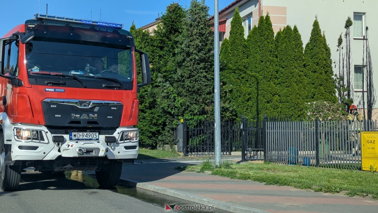 Pożar tuj przy Wiejskiej w Ostrołęce [22.05.2026] - zdjęcie #7 - eOstroleka.pl